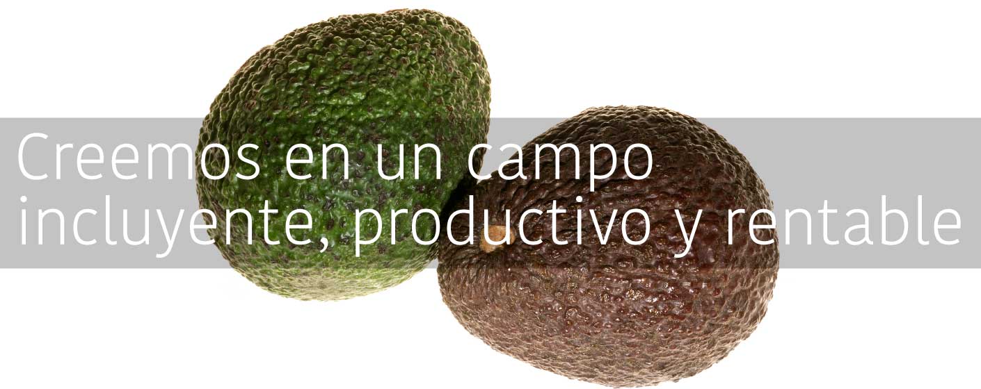creemos-campo-colombia-rentable-cci-exportador-frutas-productivo