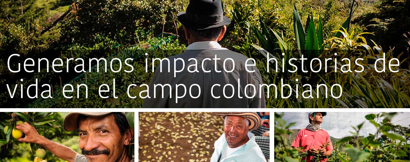 generamos-impacto-historia-vida-campo-mundo-cci-exportador-frutas-productivo-colombia