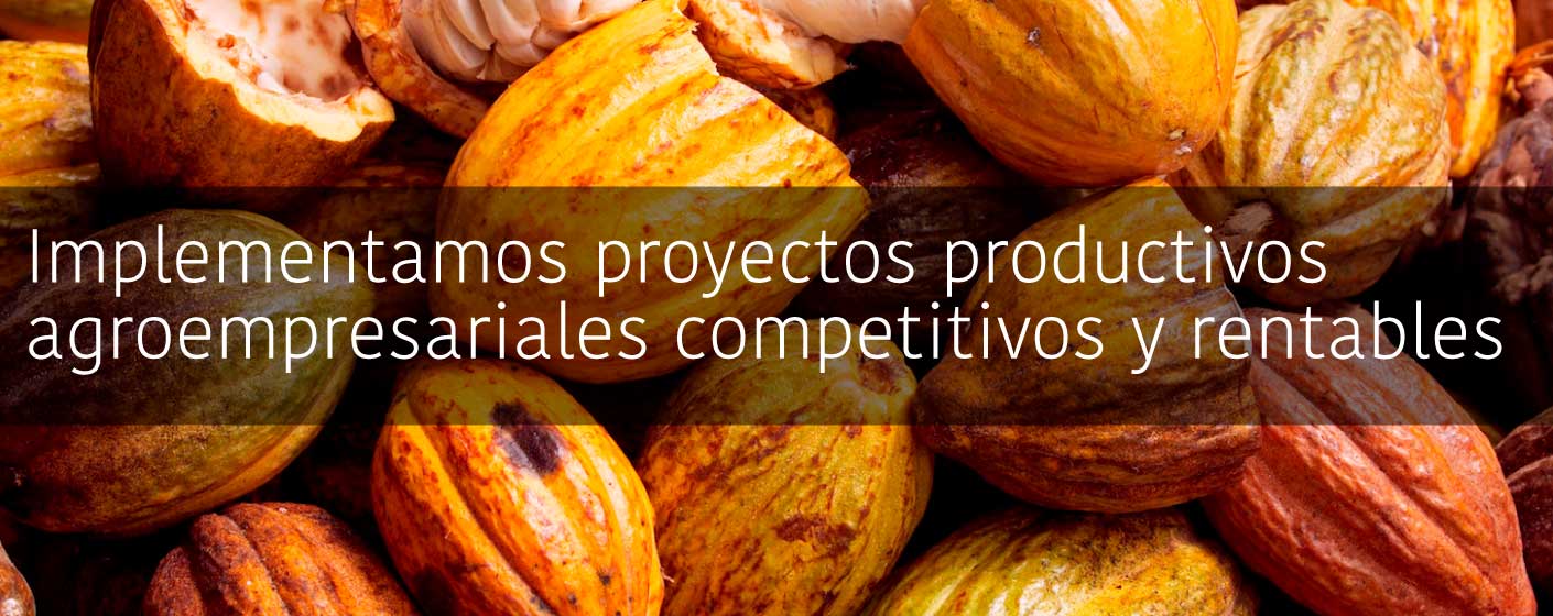 implementamos-proyectos-productivos-agroempresarial-competitivo-rentable-mundo-cci-exportador-frutas-productivo